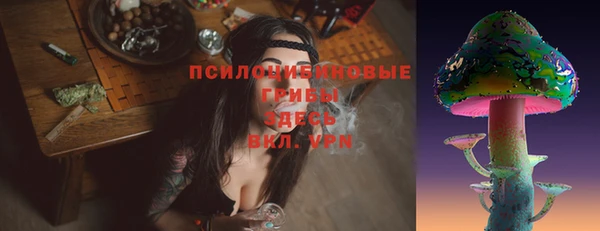 бошки Пестово
