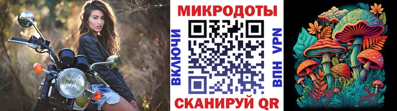 Псилоцибиновые грибы MAGIC MUSHROOMS  Андреаполь 