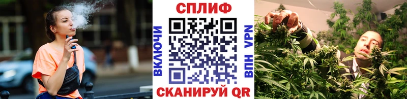 дарнет шоп  Андреаполь  Каннабис индика 